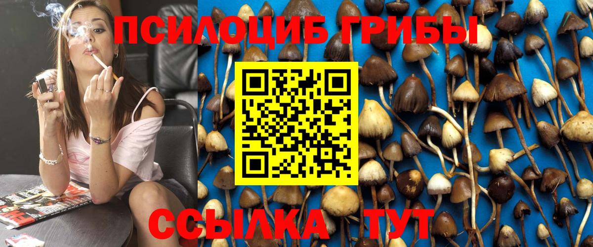 Галлюциногенные грибы Psilocybe Котельники