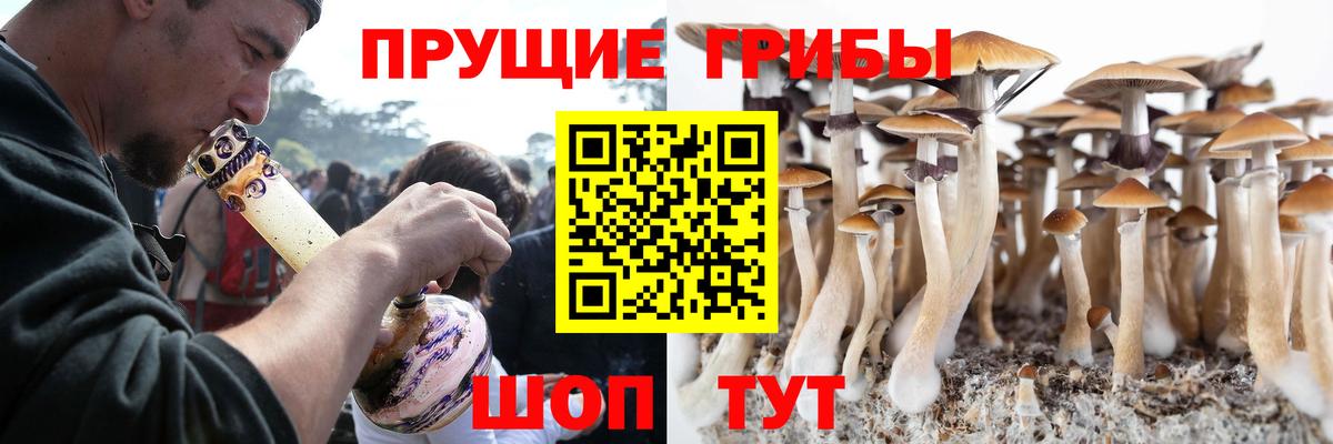 как найти закладки  Псилоцибиновые грибы прущие грибы  Вход с VPN  Котельники 
